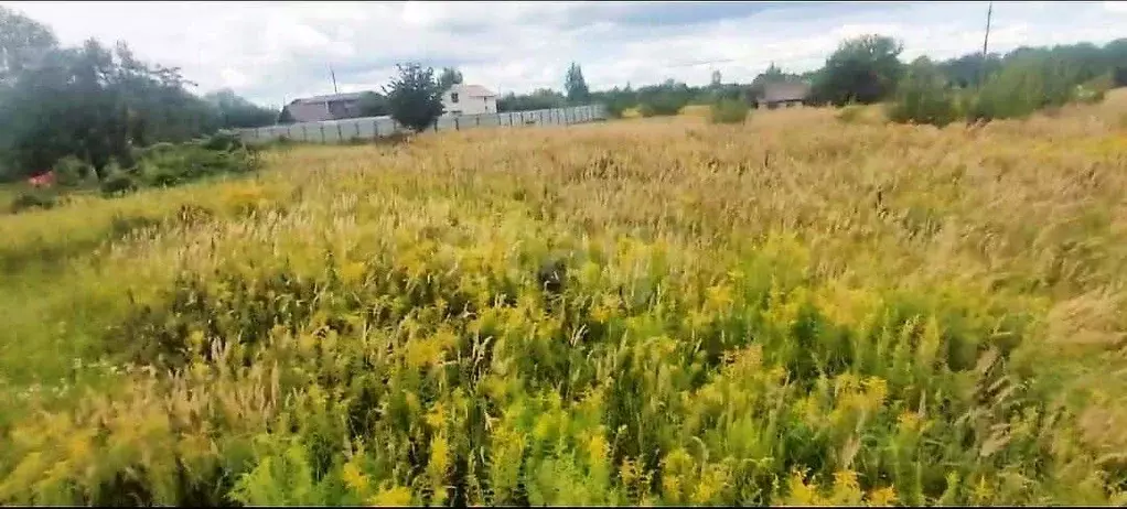 Участок в Брянская область, Брянский район, Снежское с/пос, с. ... - Фото 1