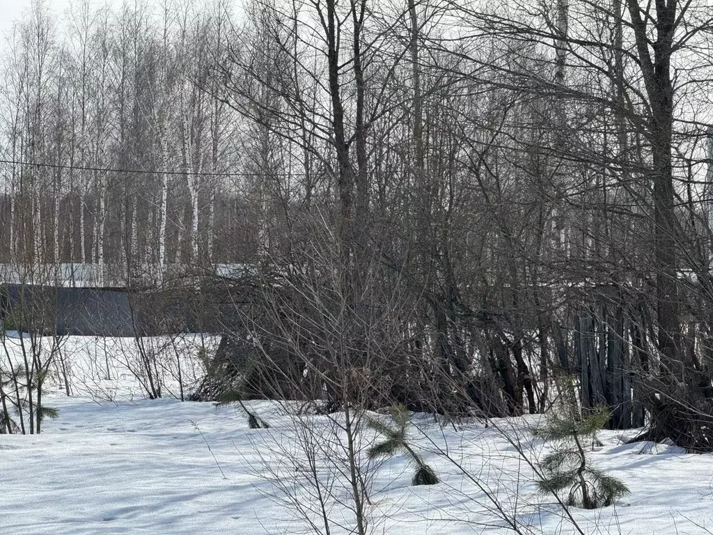 Участок в Московская область, Богородский городской округ, д. Калитино ... - Фото 2