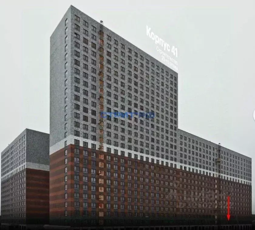 Торговая площадь в Московская область, Ленинский городской округ, ... - Фото 1