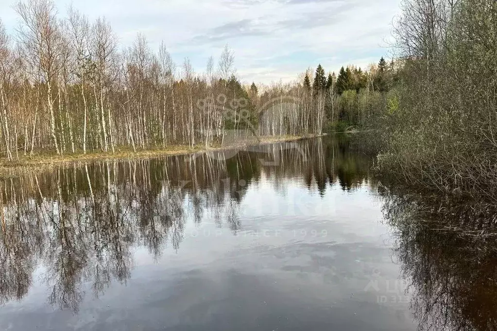 Участок в Москва пос. Первомайское, ул. Парковая (20.0 сот.) - Фото 1