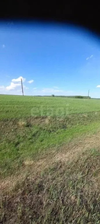 Участок в Новосибирская область, Кочковский район, с. Жуланка ул. ... - Фото 1