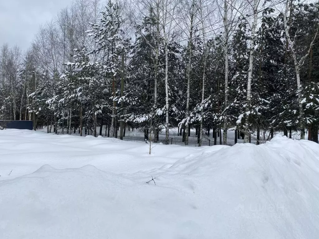 Участок в Московская область, Пушкино Новая Деревня мкр,  (4.0 сот.) - Фото 2