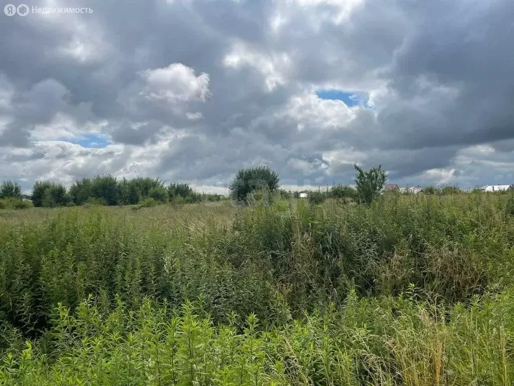 Участок в Холмогоровка, Венская улица (6.75 м) - Фото 1