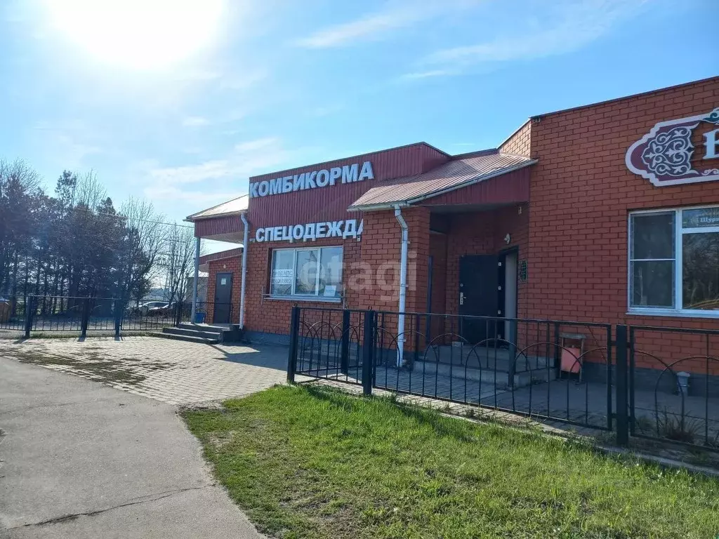 Торговая площадь в Белгородская область, Белгород ул. Константина ... - Фото 0