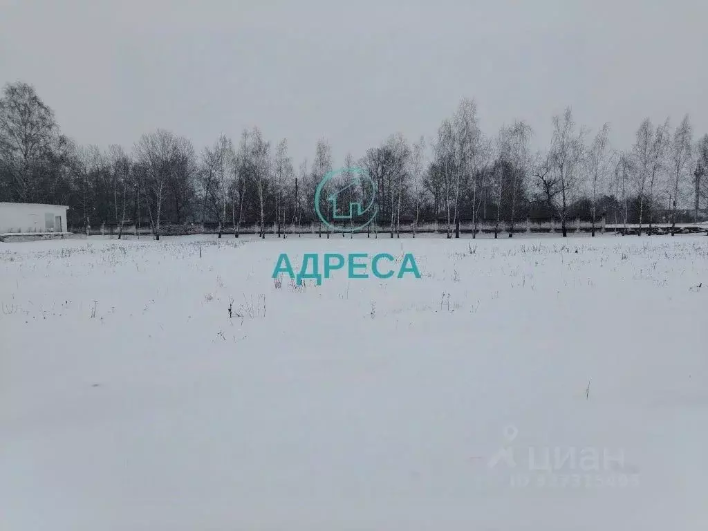 Участок в Белгородская область, Новооскольский муниципальный округ, ... - Фото 1