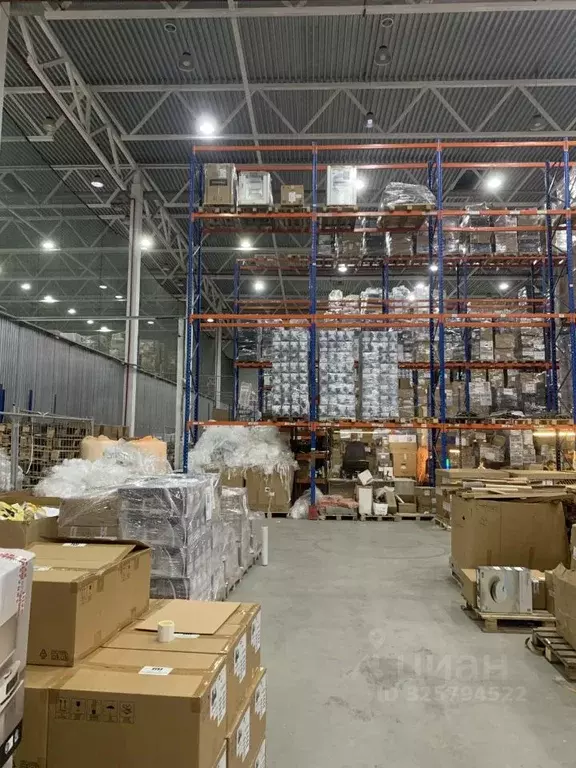 Склад в Московская область, Домодедово городской округ, с. Ям  (2170 ... - Фото 2