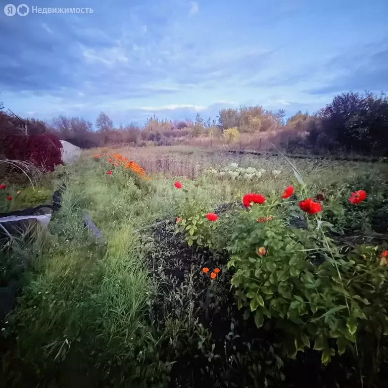 Участок в Бирск, коллективный сад Прогресс (8.99 м) - Фото 1