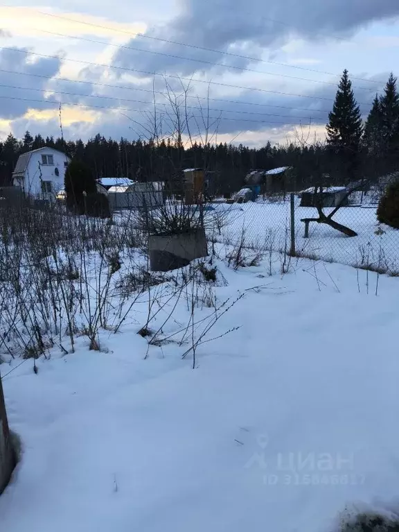 Дом в Московская область, Богородский городской округ, Елочка СНТ 75 ... - Фото 1