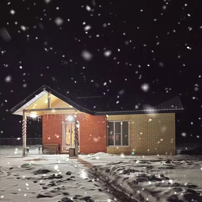 Дом в Омская область, Омский район, с. Розовка, Коттеджный поселок ... - Фото 1