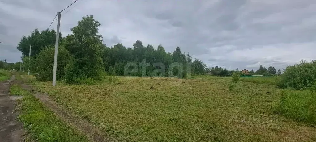 Участок в Тюменская область, Ялуторовский муниципальный округ, ... - Фото 1