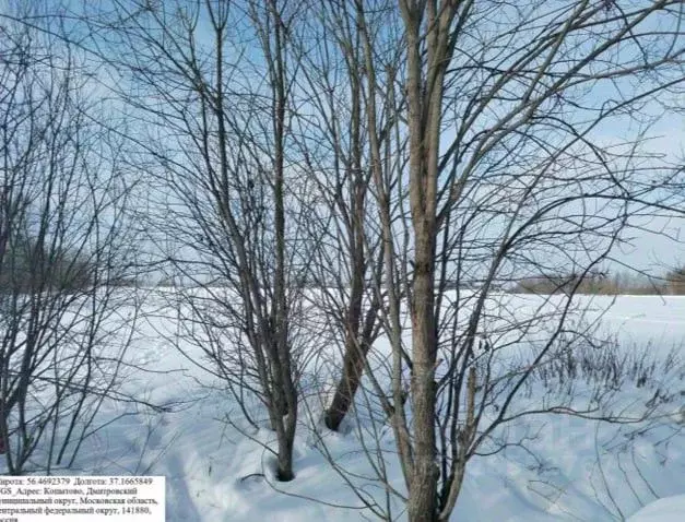 Участок в Московская область, Дмитровский муниципальный округ, д. ... - Фото 1