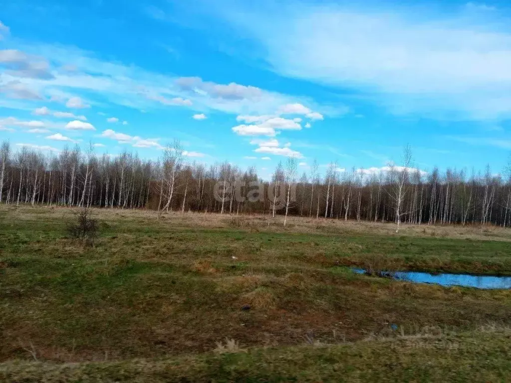 Участок в Нижегородская область, Богородский муниципальный округ, д. ... - Фото 0