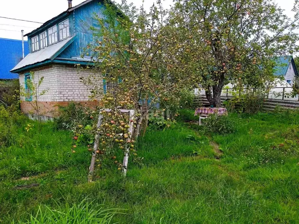 Дом в Брянская область, Брянск Болва садовое общество,  (34 м) - Фото 0