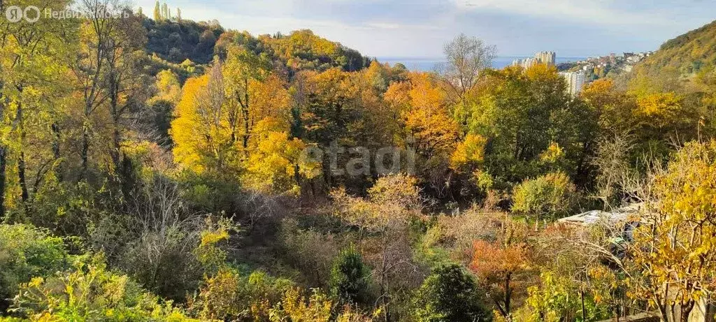 Участок в Сочи, садоводческое товарищество Зефанос-4 (6.46 м) - Фото 0