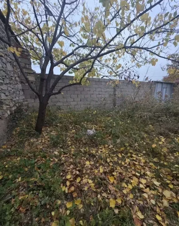 Участок в Дагестан, Махачкала городской округ, пос. Новый Кяхулай ... - Фото 2