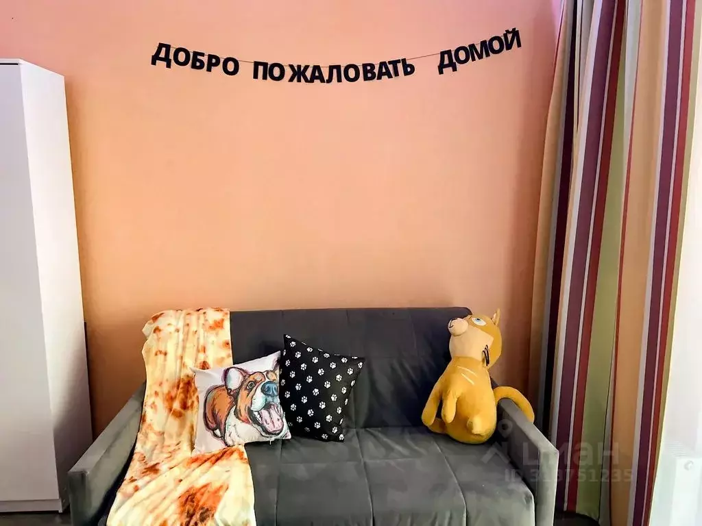 Студия Новгородская область, Великий Новгород наб. Колмовская, 71А ... - Фото 1