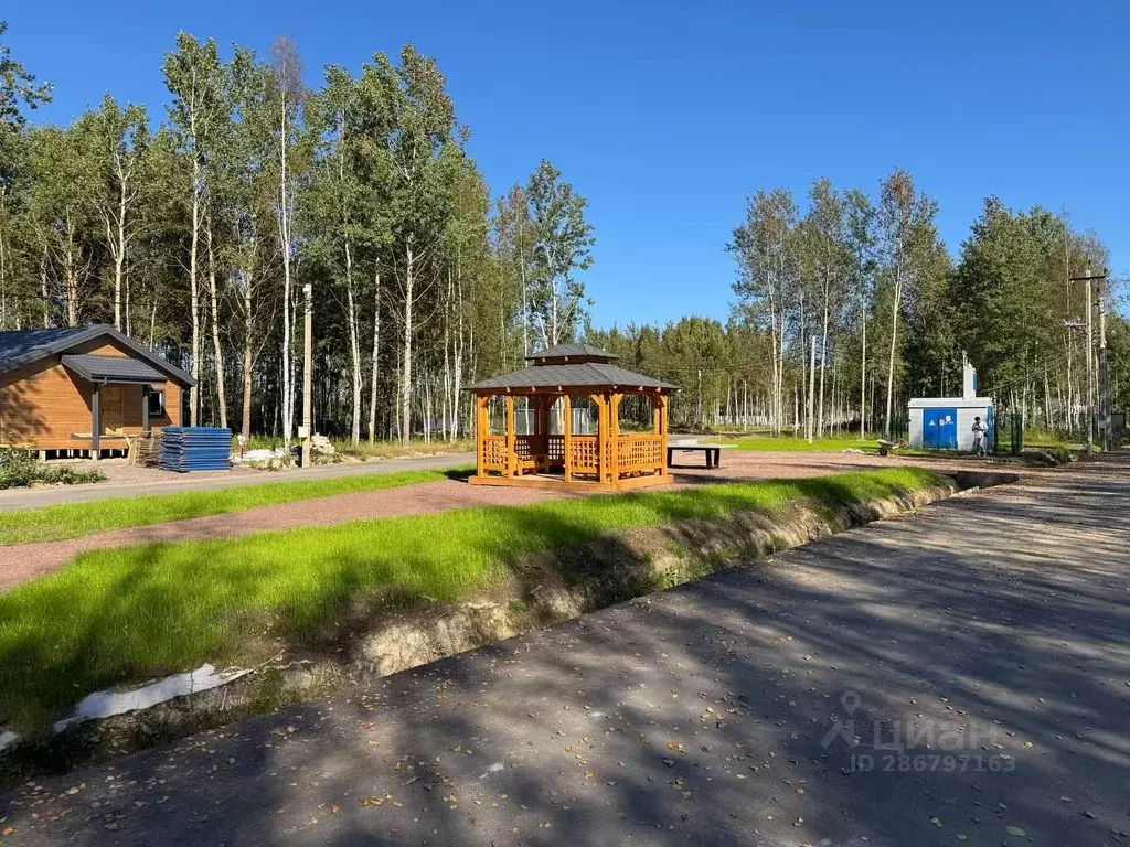 Участок в Санкт-Петербург, Санкт-Петербург, Павловск Павловское-2 СНТ, ... - Фото 2