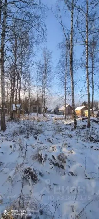 Участок в Ленинградская область, Кировский район, Мгинское городское ... - Фото 1