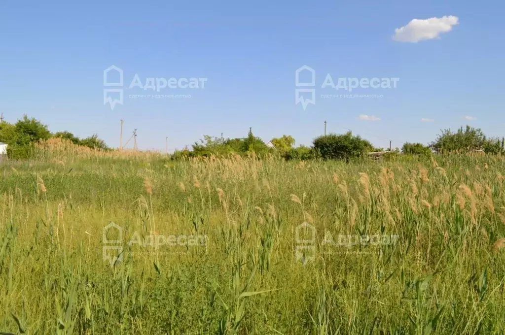 Участок в Волгоградская область, Волгоград Осень СНТ,  (7.0 сот.) - Фото 1