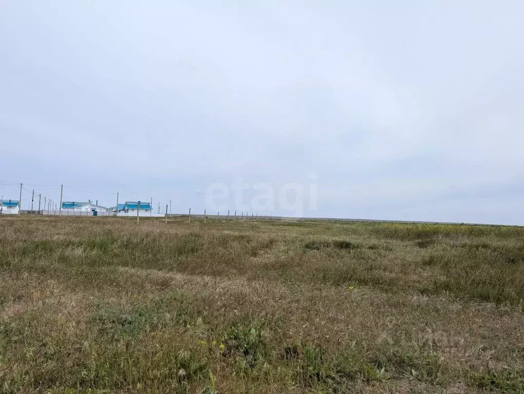 Участок в Крым, Черноморский район, Окуневское с/пос, с. Знаменское  ... - Фото 1