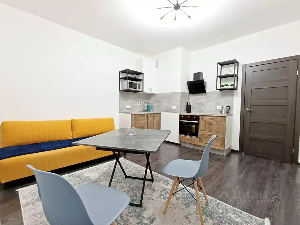 Студия Санкт-Петербург аллея Арцеуловская, 17 (25.0 м) - Фото 1