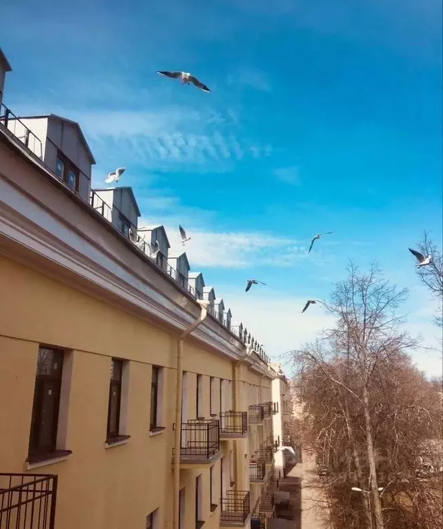 2-к кв. Санкт-Петербург, Санкт-Петербург, Кронштадт ул. Аммермана, 46 ... - Фото 1