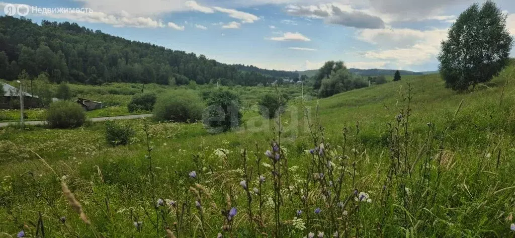 Участок в Майминский район, село Верх-Карагуж (10 м) - Фото 0