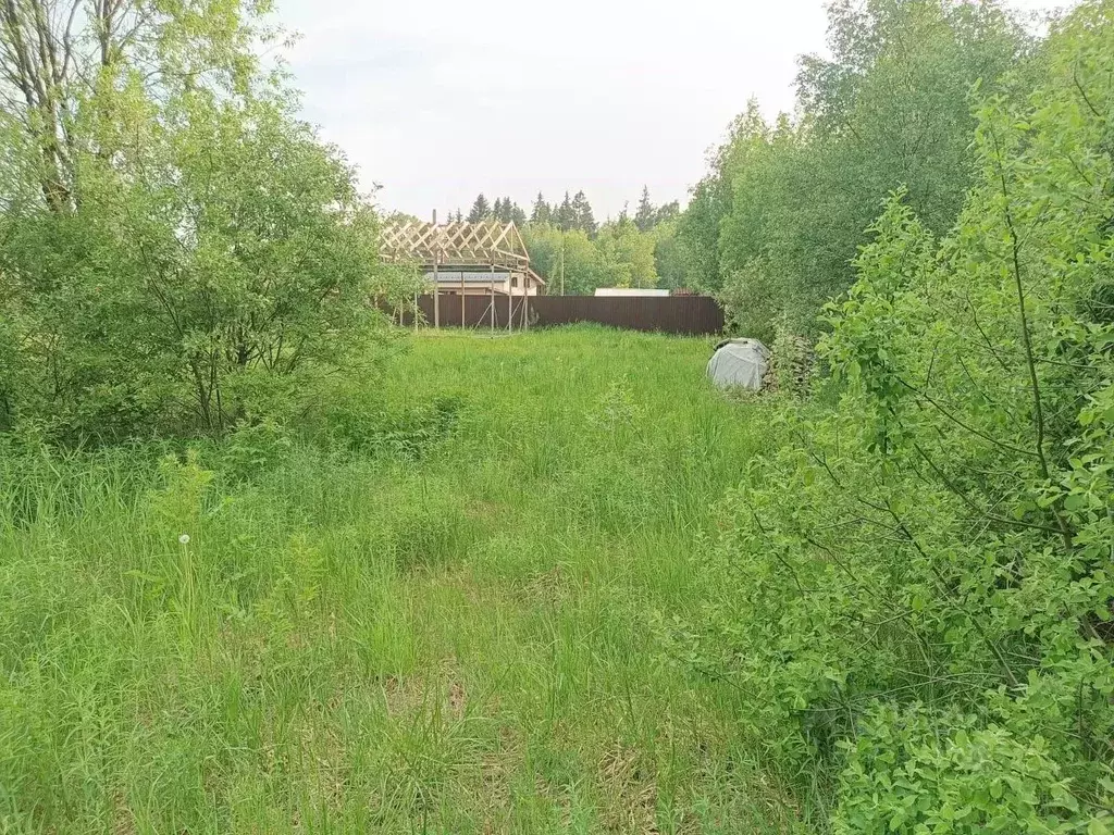 Участок в Ленинградская область, Выборгский район, Рощинское городское ... - Фото 2