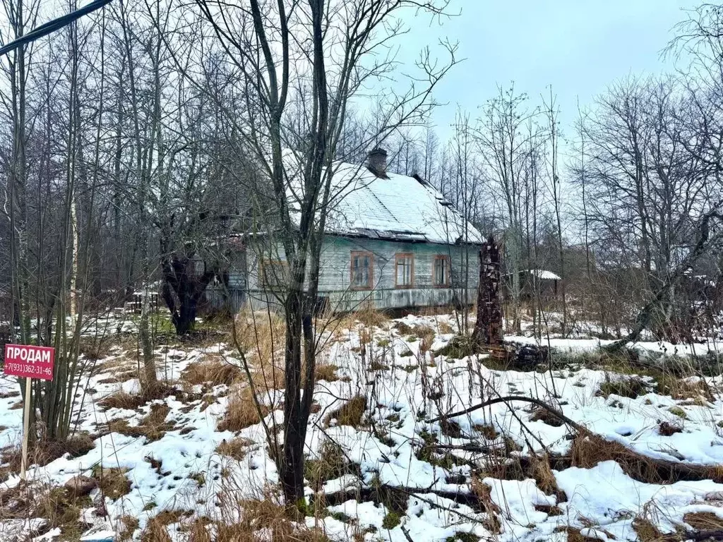 Участок в Ленинградская область, Всеволожский район, Рахьинское ... - Фото 1
