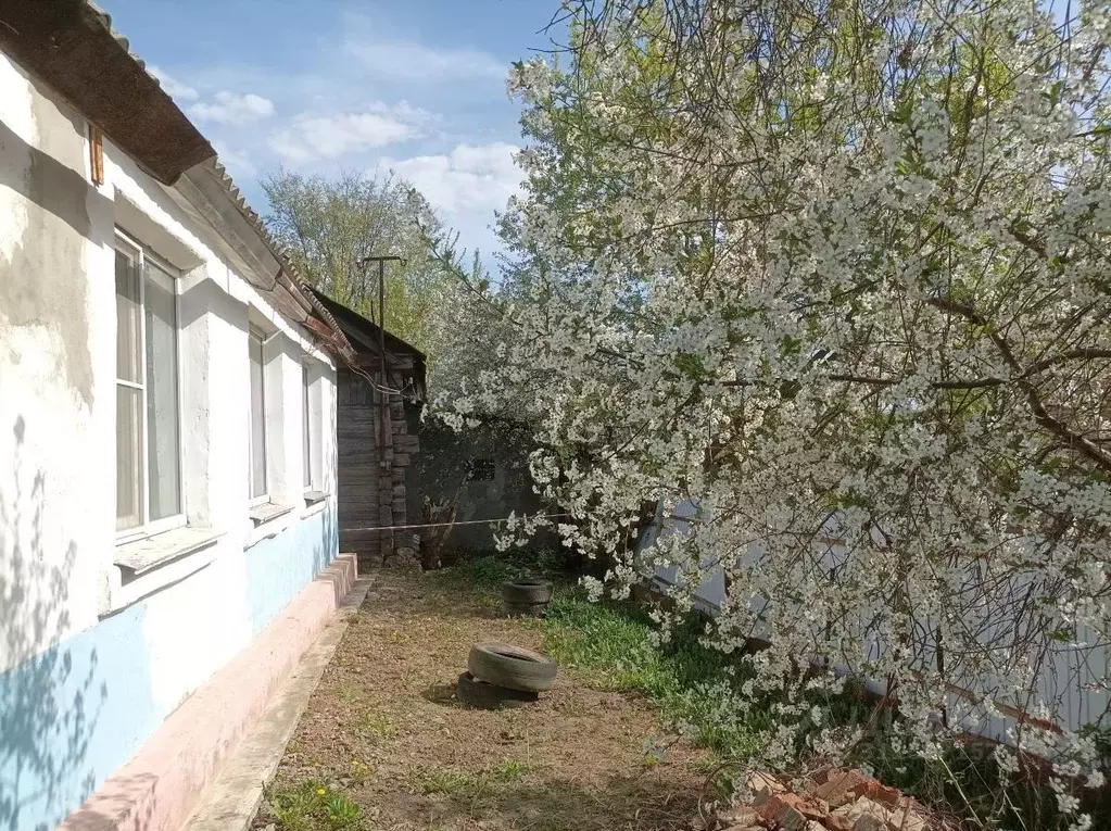 Дом в Курская область, Курск ул. Асеева (61 м) - Фото 1