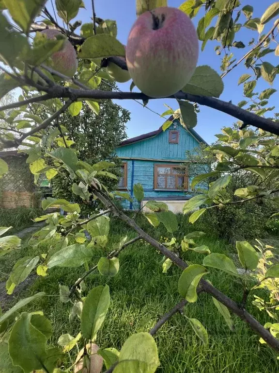 Участок в Ивановская область, Ивановский муниципальный округ, Южный-5 ... - Фото 2