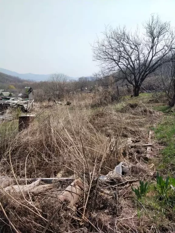 Участок в Приморский край, Партизанский муниципальный округ, Падь ... - Фото 1