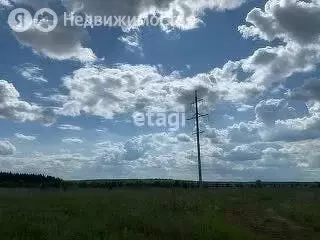 Участок в Пермский муниципальный округ, СНТ Ветеран (30 м) - Фото 0