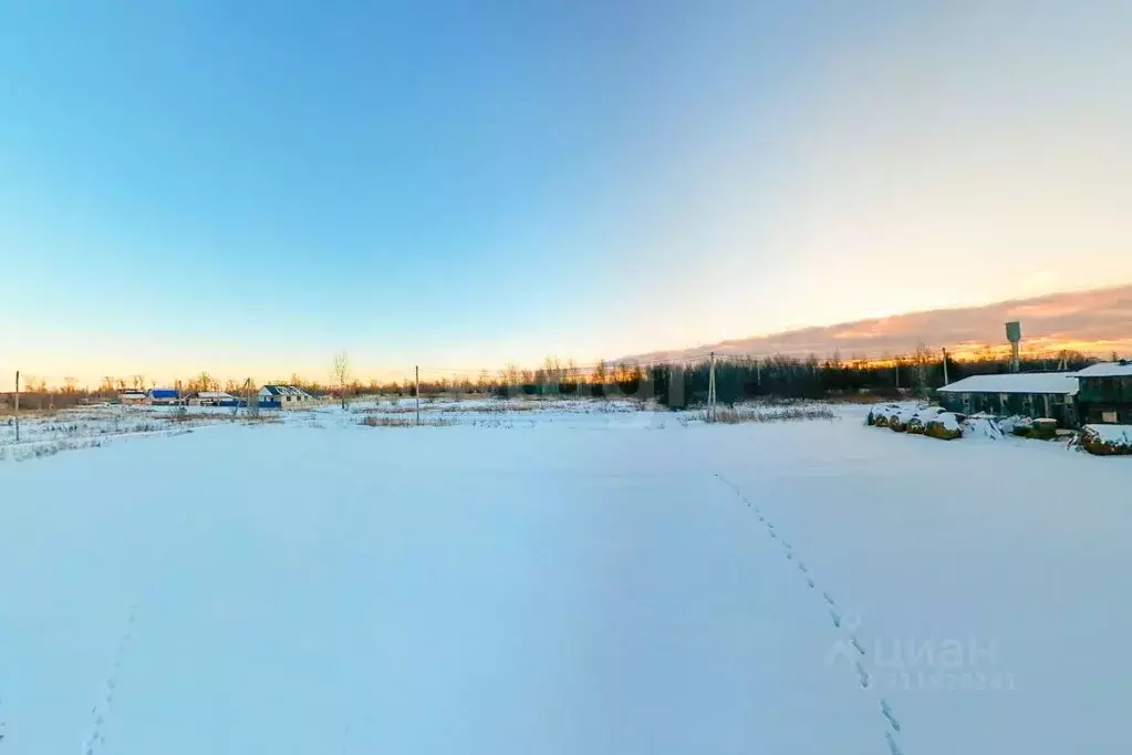 Участок в Тюменская область, Ярковский район, пос. Веселый ... - Фото 0