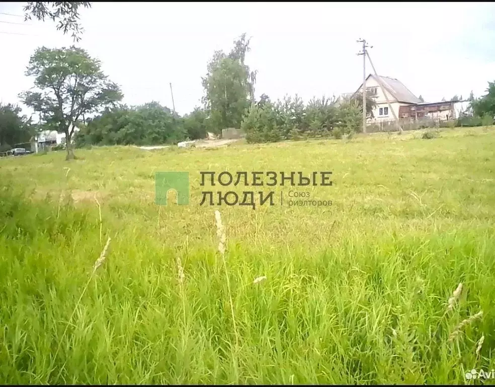 Участок в Орловская область, Мценский район, Аникановское с/пос, д. ... - Фото 2