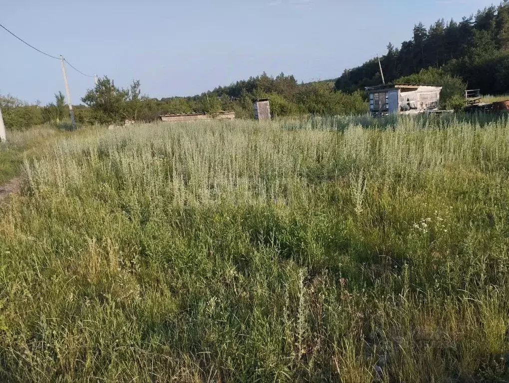 Участок в Белгородская область, Белгородский муниципальный округ, с. ... - Фото 1