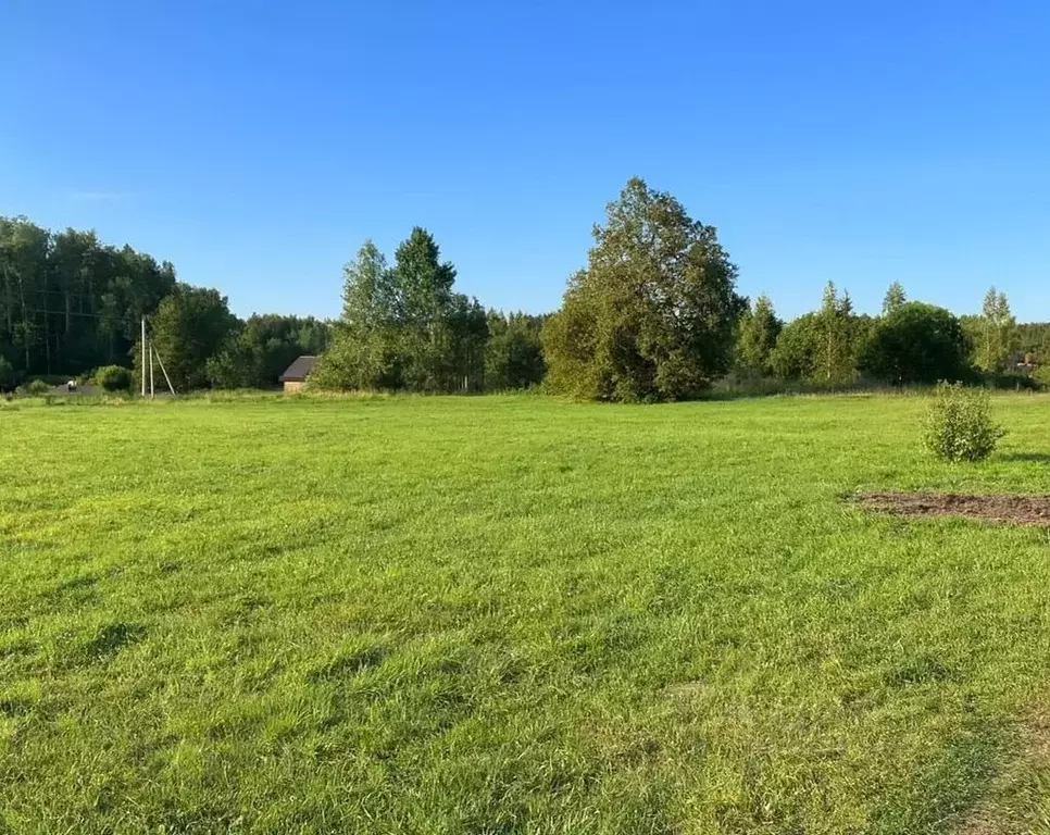 Участок в Московская область, Ступино ул. Туманная (10.0 сот.) - Фото 1