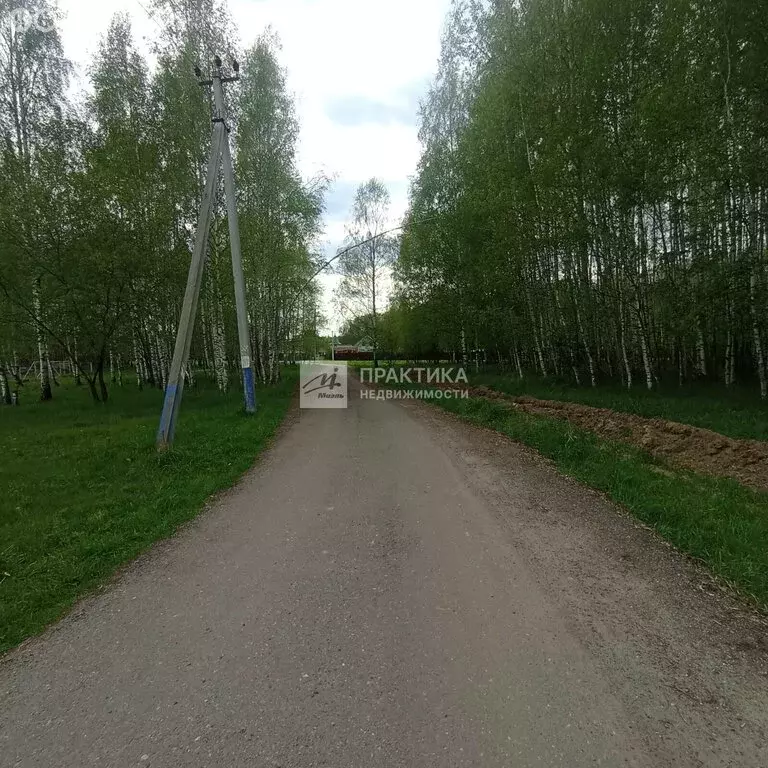 Участок в Богородский городской округ, деревня Щекавцево (10 м) - Фото 2