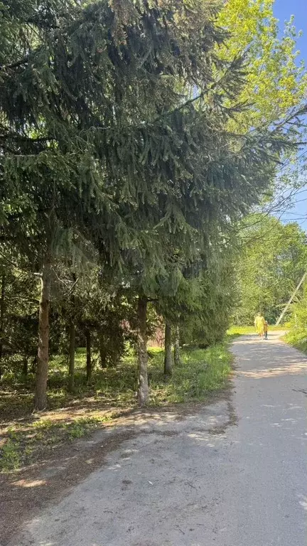 Дом 200,4 м на участке 6 сот. - Фото 1