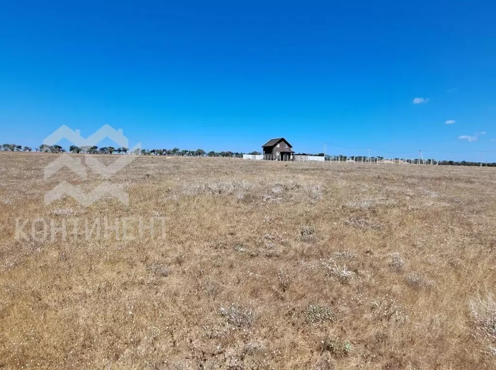 Участок в Крым, Черноморский район, с. Межводное ул. Дружбы, 28 (10.0 ... - Фото 1