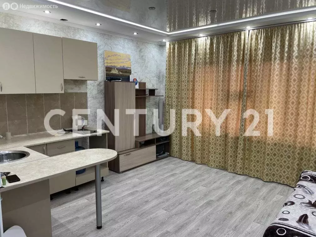 1-комнатная квартира: село Авиапорт, улица Кузьмина, 30 (26 м) - Фото 1