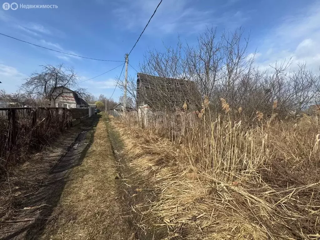 Участок в Брянская область, Сельцо (5.83 м) - Фото 2