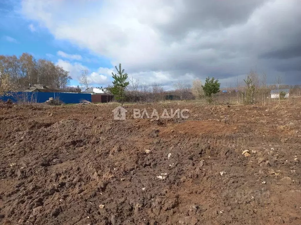 Участок в Нижегородская область, Богородский муниципальный округ, д. ... - Фото 1