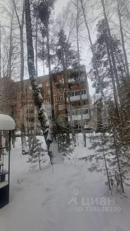 2-к кв. Челябинская область, Чебаркульский муниципальный округ, с. ... - Фото 2