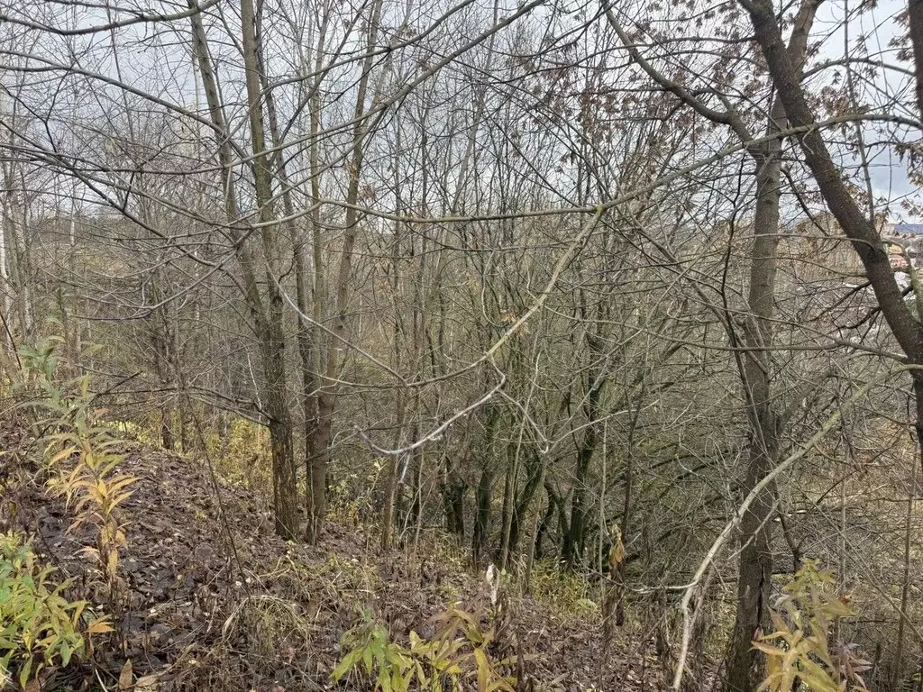 Участок в Московская область, Пушкинский городской округ, Софрино пгт  ... - Фото 1