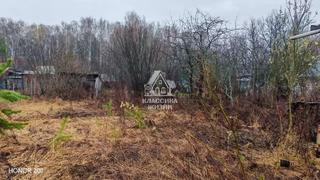 Участок в Нижегородская область, Богородский муниципальный округ, ... - Фото 2