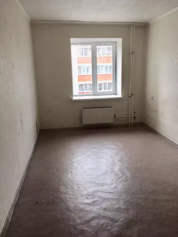 Пустая квартира 3 комнатная.