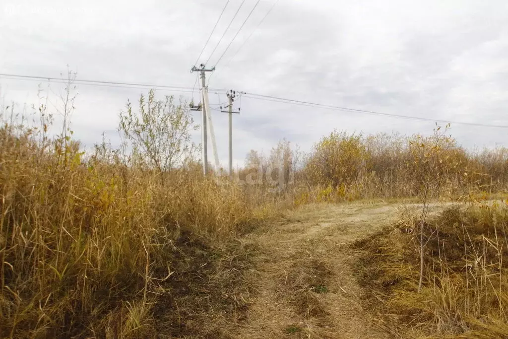 Участок в Тюменская область, Заводоуковский муниципальный округ, ... - Фото 2