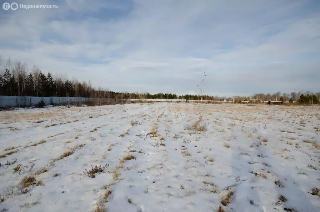 Участок в село Сингуль Татарский, Олимпийская улица (17.66 м) - Фото 2