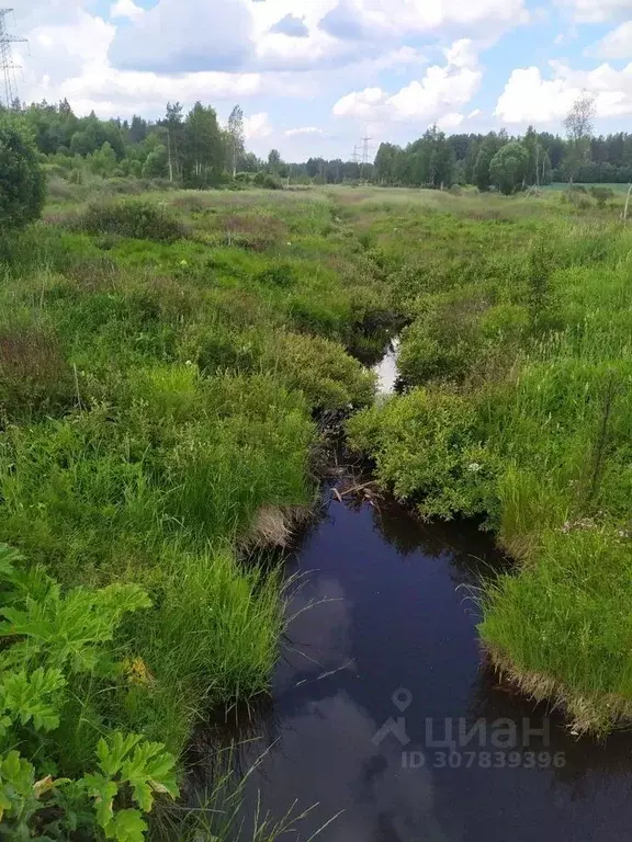 Участок в Ленинградская область, Выборгский район, Рощинское городское ... - Фото 0